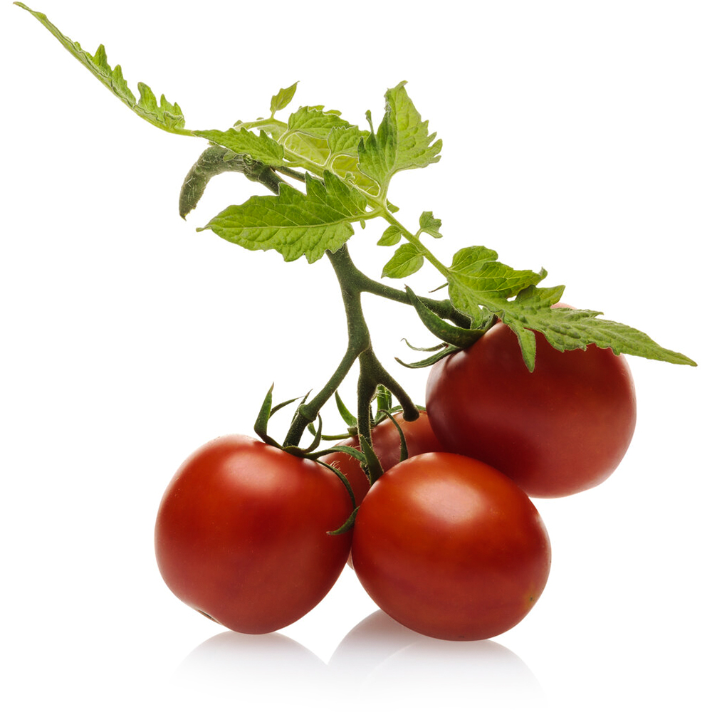 Tomatoes